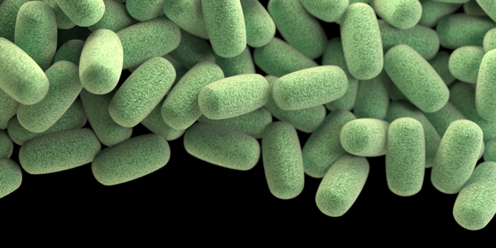 This illustration depicts a three-dimensional (3D) computer-generated image of a cluster of barrel-shaped Clostridium perfringens bacteria. The artistic recreation was based upon scanning electron microscopic (SEM) imagery. Illustration: Jennifer Oosthuizen