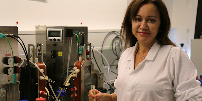 Microbes pave way for green flight