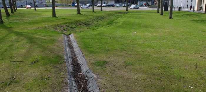Regnbed, foto: Karsten Arnbjerg-Nielsen